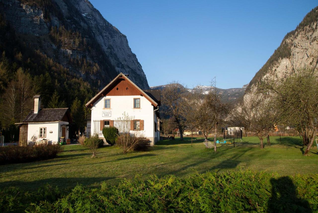 Apartment Marie A